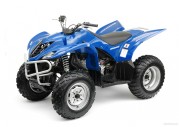 Yamaha Wolverine 350 Yamaha Wolverine 350